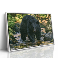 Black Bear at the Water's Edge