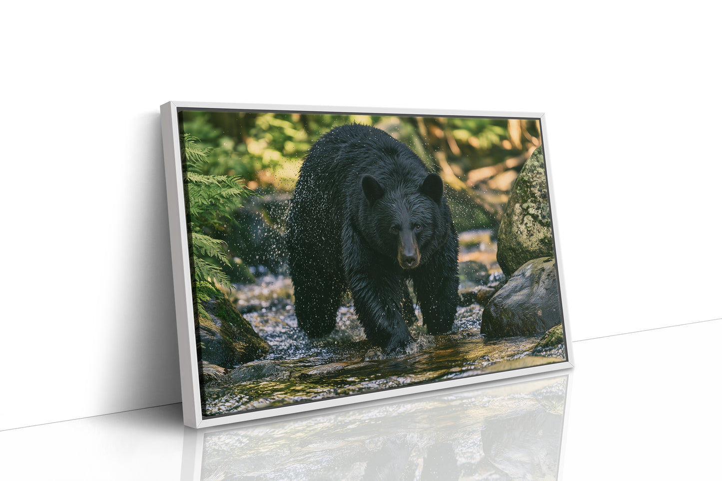 Black Bear at the Water's Edge