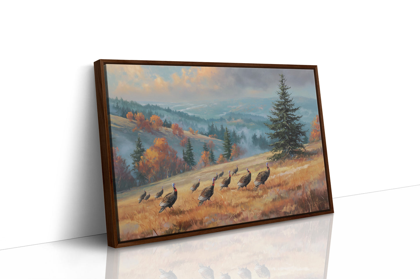 Where the Turkeys Roam