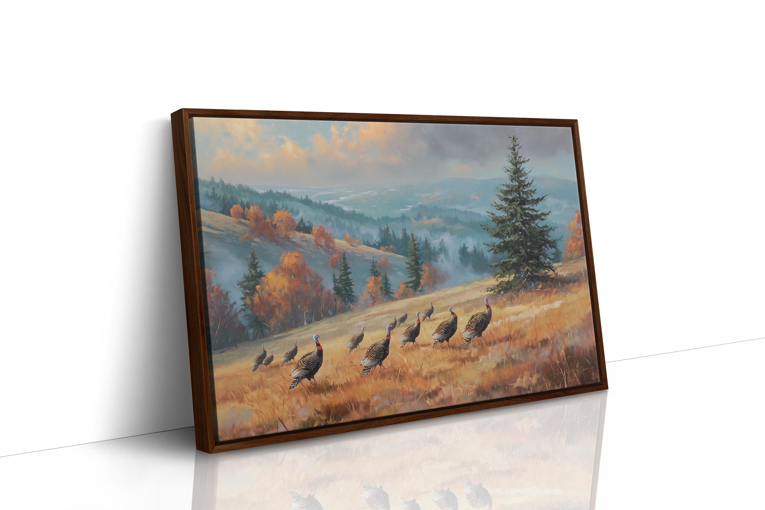 Where the Turkeys Roam