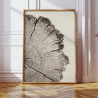 Chronicles Etched in Grain