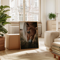 Golden Dusk and Gentle Eyes