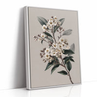 Ivory Blossoms On Quiet Branch