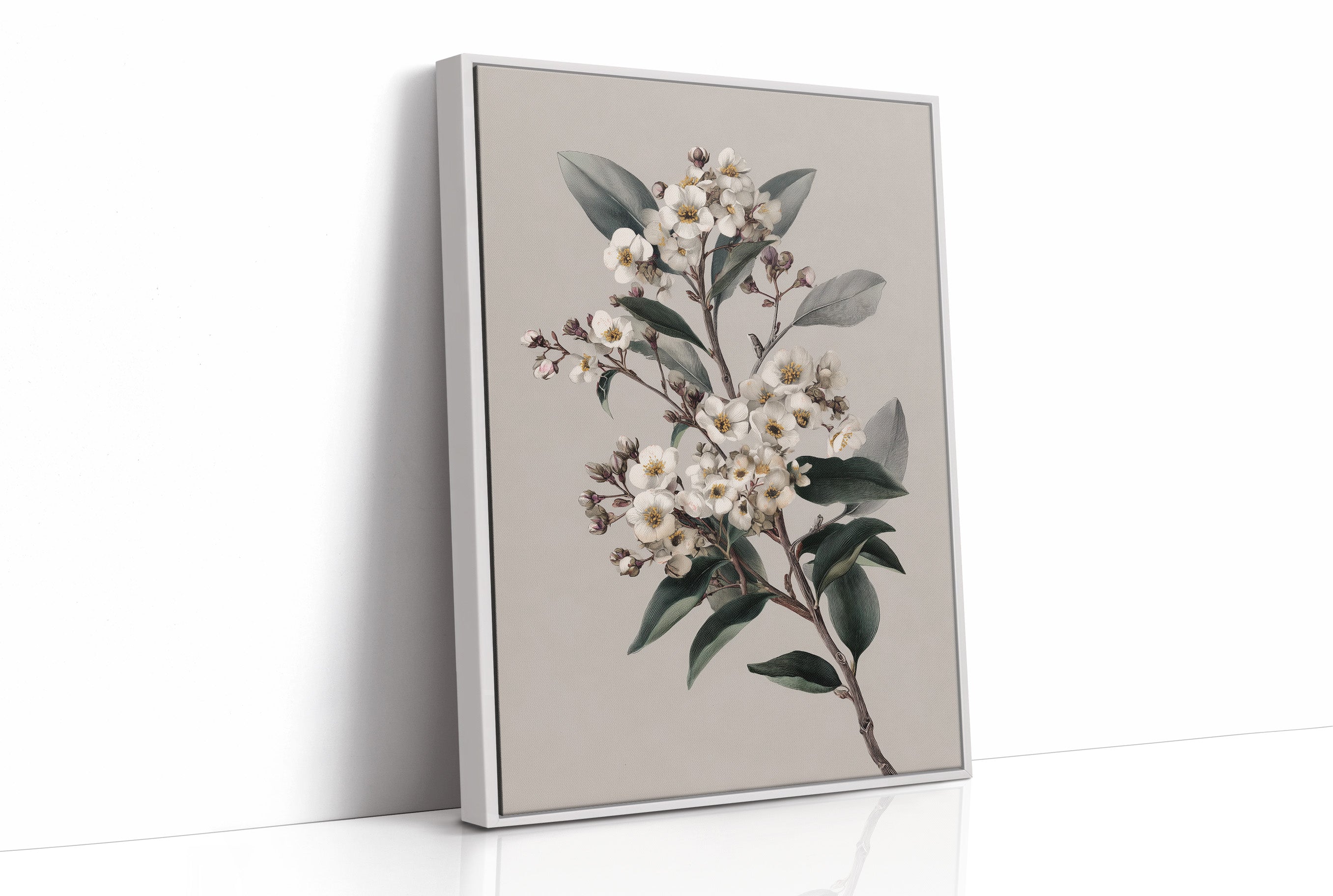 Ivory Blossoms On Quiet Branch