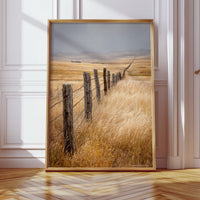 Fences That Tell Forgotten Tales
