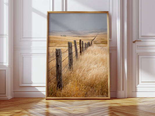 Fences That Tell Forgotten Tales