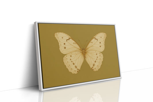 Golden Ivory Butterfly Study