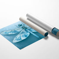 Frost-Blue Dragonfly Study