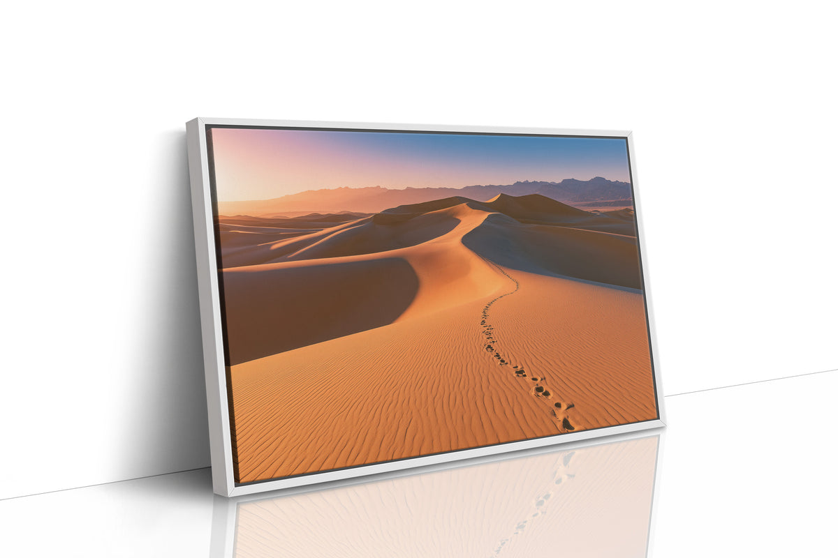 Footprints Over Golden Dunes