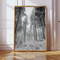 Beneath the Silent Canopy