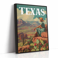 Lone Star Views From Above