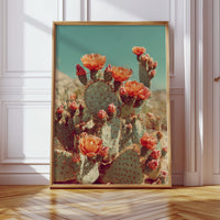 Desert Blooms in Radiant Sunlight