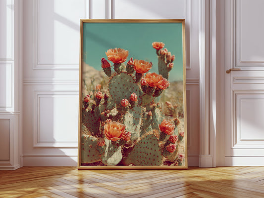 Desert Blooms in Radiant Sunlight