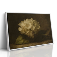 Faded Elegance Hydrangea