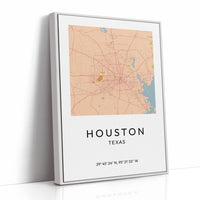 Houston, Mapped in Amber