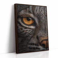 Golden Gaze Wild Cat Close Up