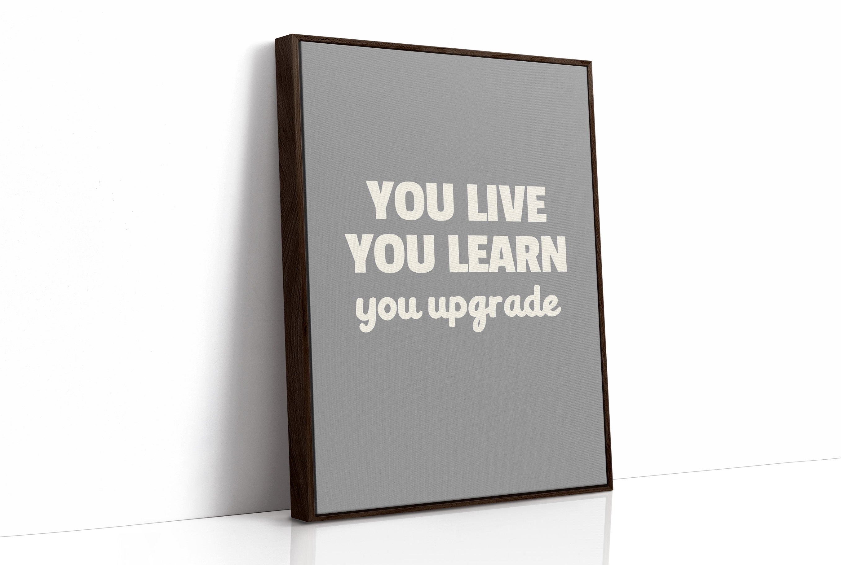 You Live You Learn You Upgrade