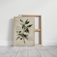 Olive Branch Carries Sacred Wisdom