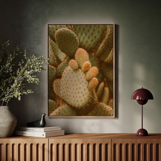 Desert Growth Prickly Pear Close-Up