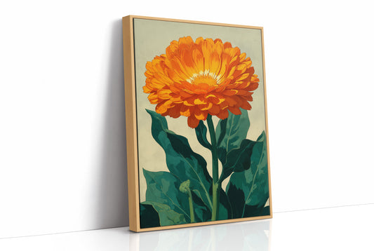 The Calendula Held the Light