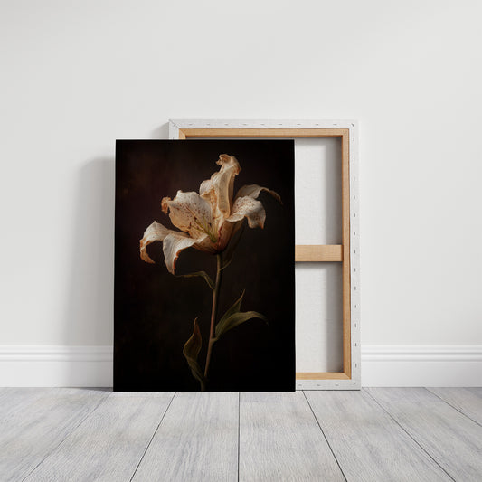 Solitary Bloom Against Midnight Depths