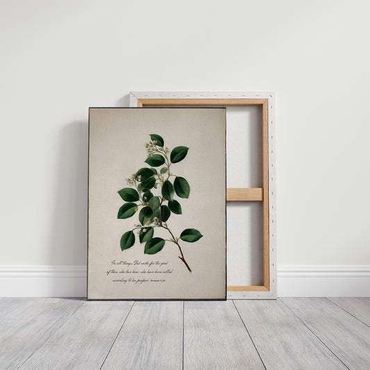 Botanical Faith On Wooden Table