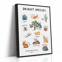 Arid Land Chronicles Illustrated