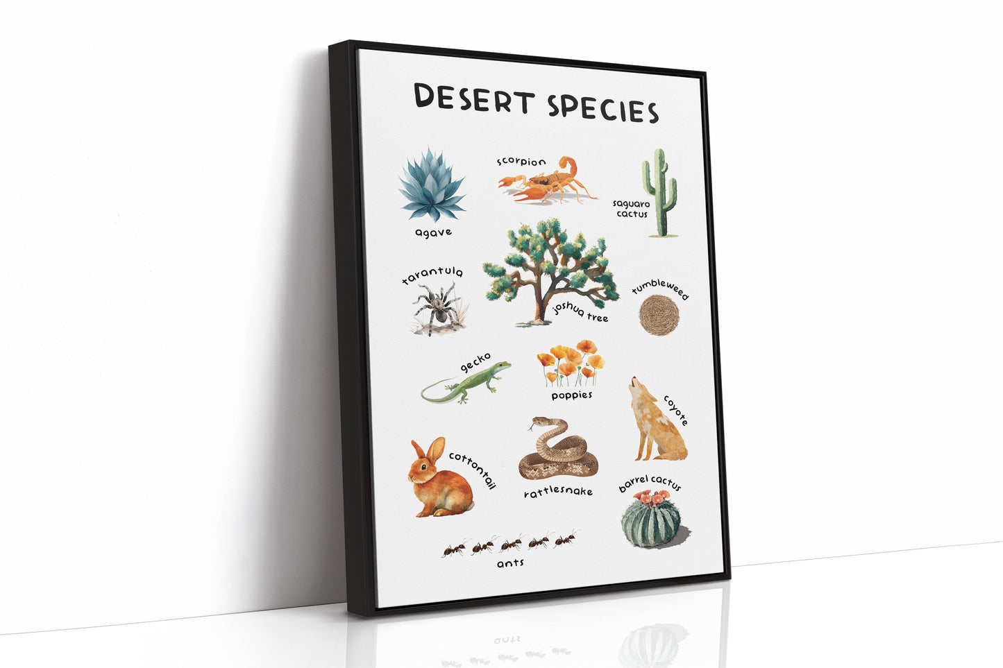 Arid Land Chronicles Illustrated
