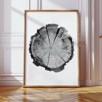 Textured Tree Ring Study