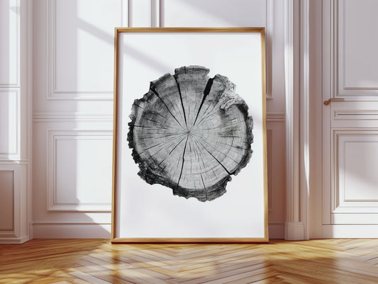 Textured Tree Ring Study