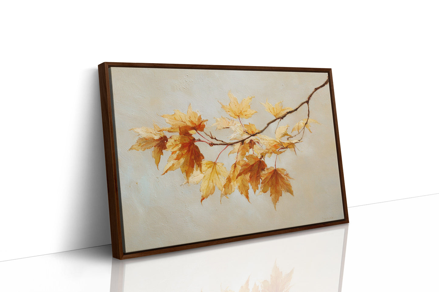 Maple Light Catches October's Glow