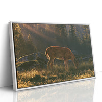 Grazing in the Golden Dew