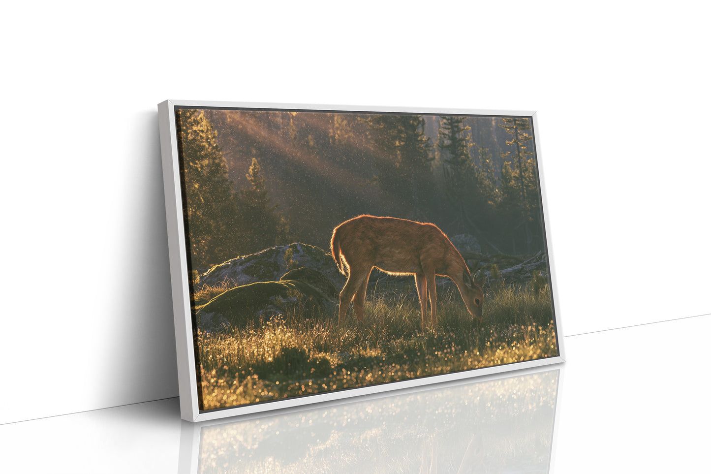 Grazing in the Golden Dew