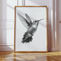 Graceful Hummingbird in Flight