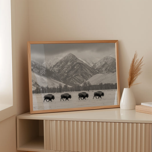 Where the Buffalo Roam