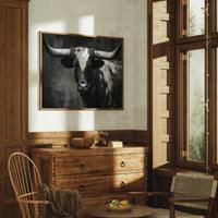 Longhorn Tales At Twilight Hour