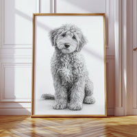 Curly Coat and Kind Eyes