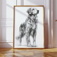 Noble Gaze of Loyalty