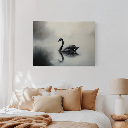Black Swan Glides Through Morning Fog