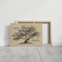 Ancient Oak Whispers Biblical Truth
