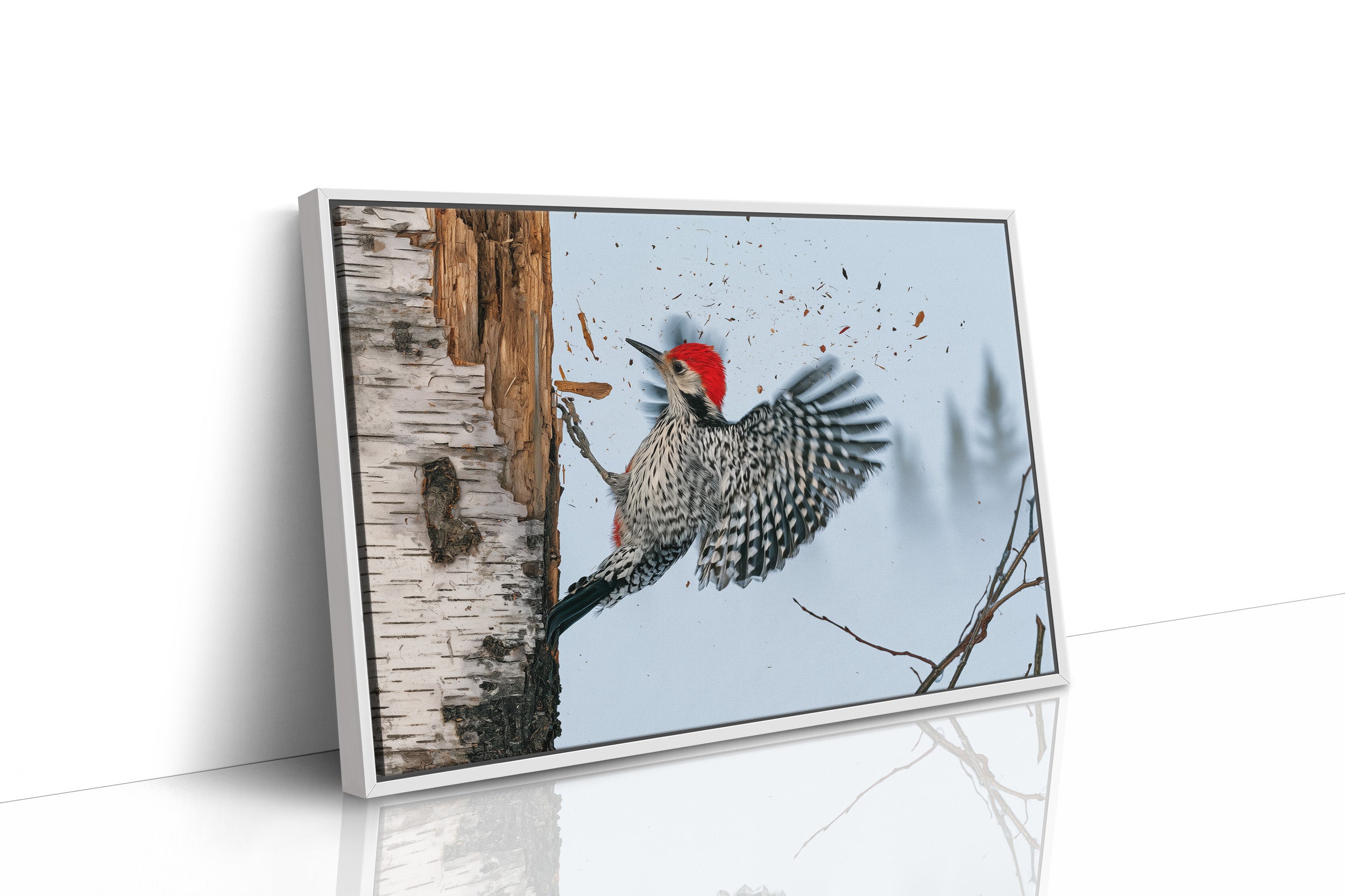 Woodpecker in Mid-Strike
