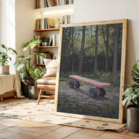 Pink Bench Waits In Forest Shade