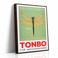 Tonbo – The Science of Dragonflies
