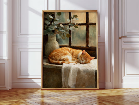 Naptime Beneath Sunlit Windows