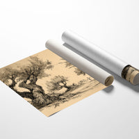 Ancient Olives Guide The Wanderer