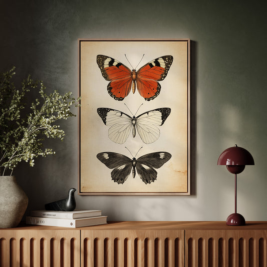 Flight Through Timeless Patterns
