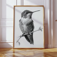 The Stillness of Feathered Grace