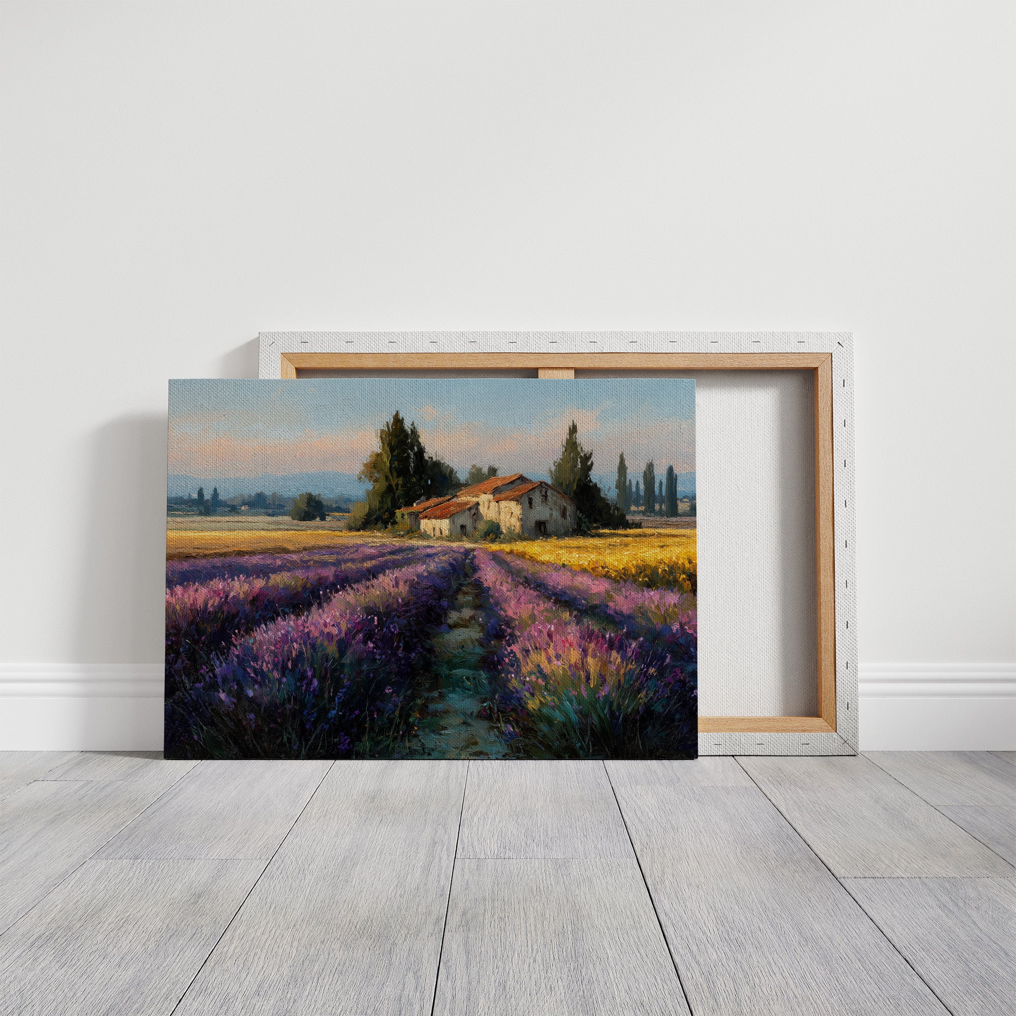 Provence Lavender at Golden Hour