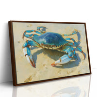 Blue Treasure From Tidal Pools