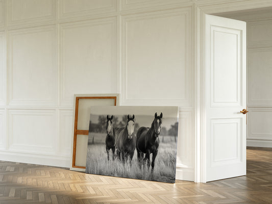 Three Mares Stand Among Prairie Grass